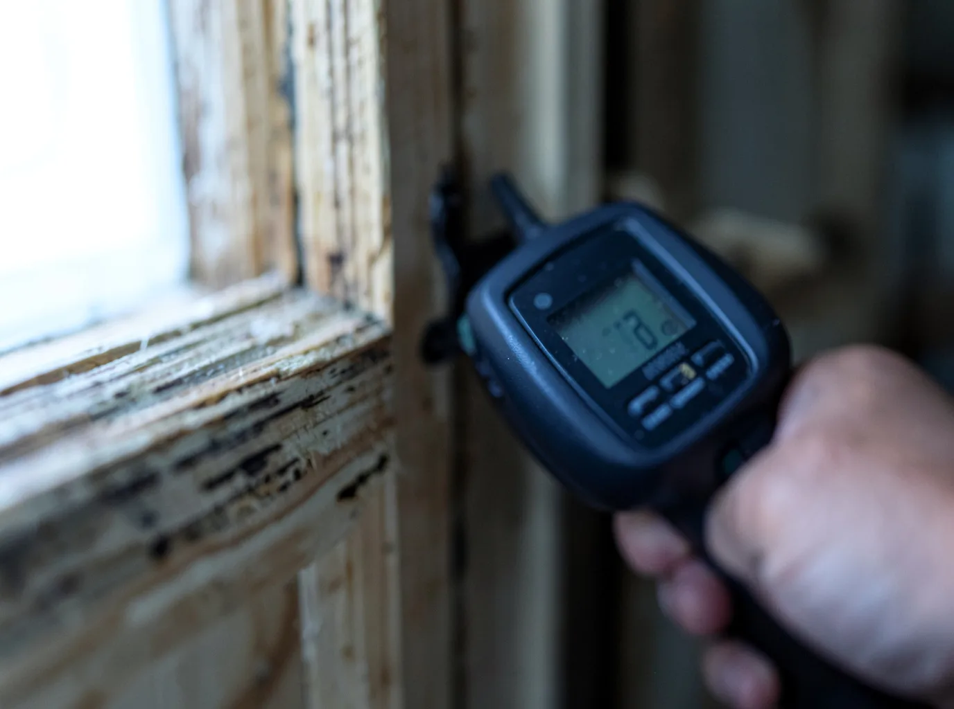 Moisture Inspection And Documentation in Woodland, GA